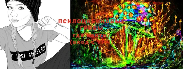 mdpv Лихославль