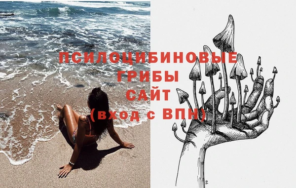 амфетамин Ладушкин