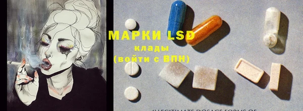 прущие крисы Лабытнанги