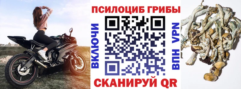 Купить где  Сургут  Галлюциногенные грибы Magic Shrooms 