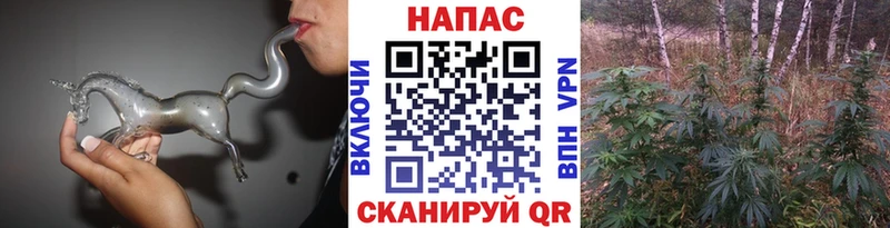 Купить где  Сургут  Канабис VHQ 